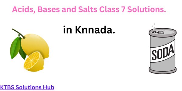 Acids Bases and Salts Solutions Class 7 in Kannada Medium.
