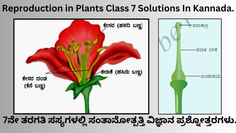 Reproduction in Plants Class 7 Solutions In Kannada.