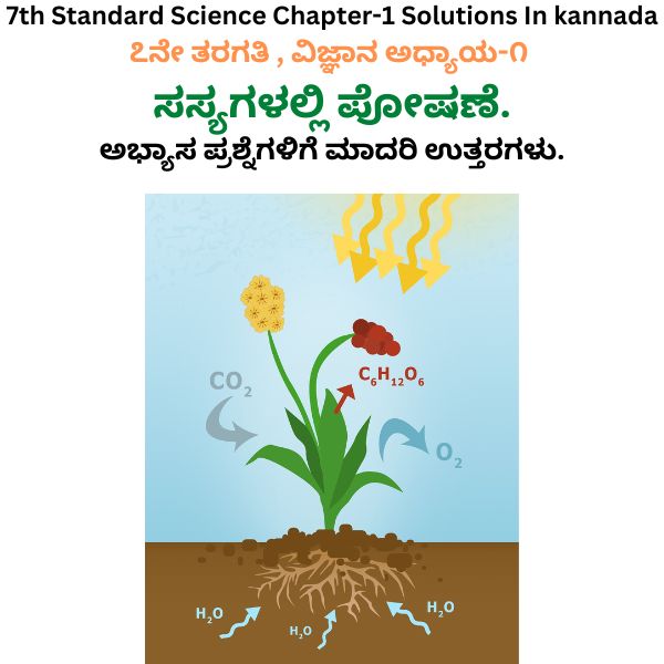 Nutrition In Plants Class 7 Solutions in Kannada