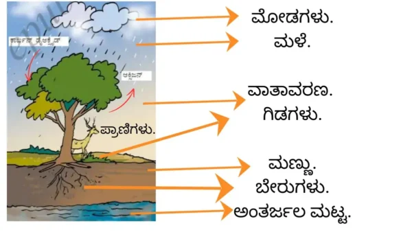 Class 7 Science Forests Our Lifeline Solutions In Kannada Medium.